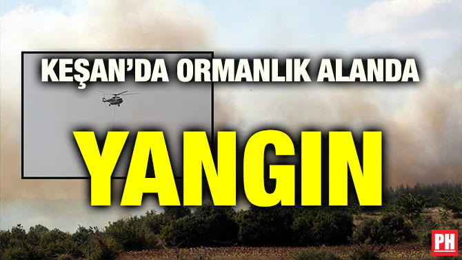 KEŞAN’DA ORMANLIK ALANDA YANGIN