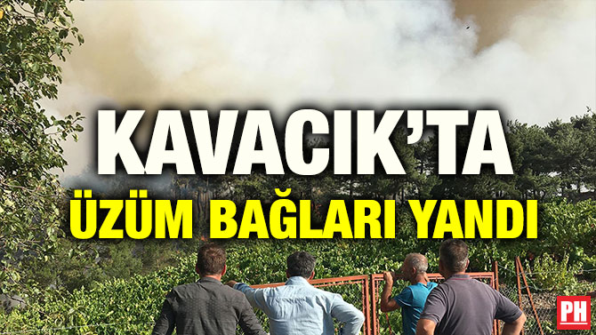 KAVACIK’TA ÜZÜM BAĞLARI YANDI