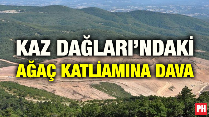 KAZ DAĞLARI’NDAKİ AĞAÇ KATLİAMINA DAVA