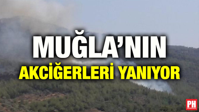 MUĞLA’NIN AKCİĞERLERİ YANIYOR