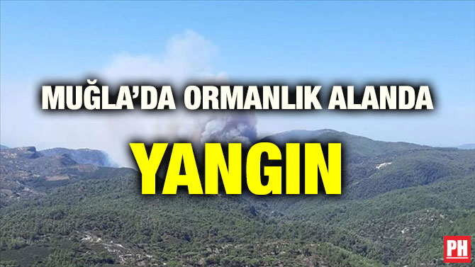 MUĞLA’DA ORMANLIK ALANDA YANGIN