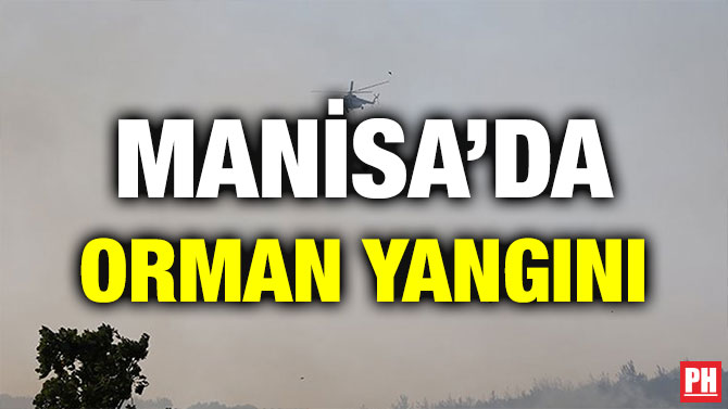 MANİSA’DA ORMAN YANGINI