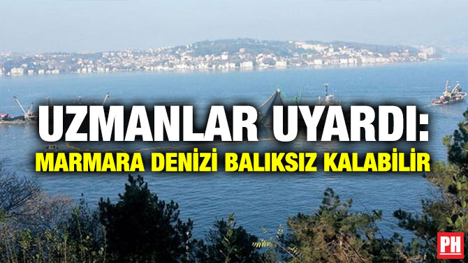 UZMANLAR UYARDI: MARMARA DENİZİ BALIKSIZ KALABİLİR