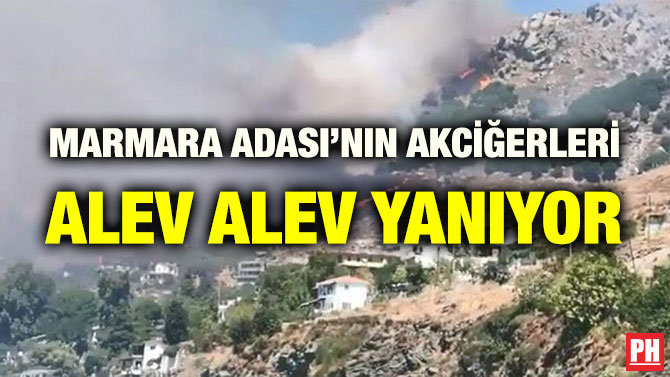 MARMARA ADASI’NIN AKCİĞERLERİ ALEV ALEV YANIYOR