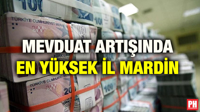 MEVDUAT ARTIŞINDA  EN YÜKSEK İL MARDİN
