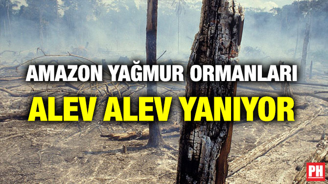 AMAZON YAĞMUR ORMANLARI ALEV ALEV YANIYOR