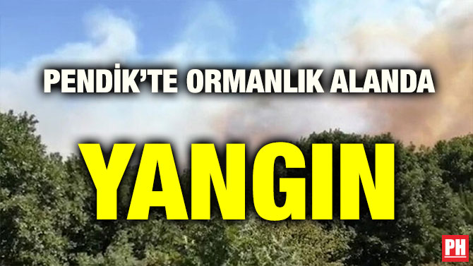 PENDİK’TE ORMANLIK ALANDA YANGIN
