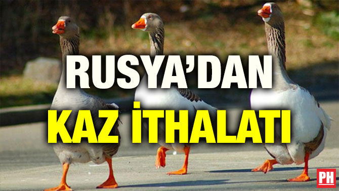 RUSYA’DAN KAZ İTHALATI