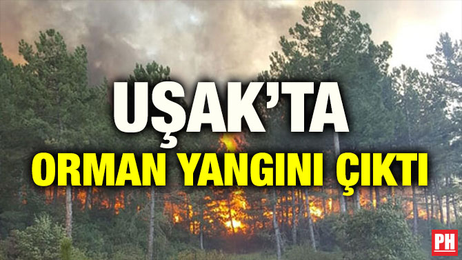 UŞAK’TA ORMAN YANGINI ÇIKTI