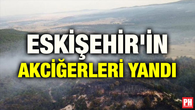 ESKİŞEHİR’İN AKCİĞERLERİ YANDI