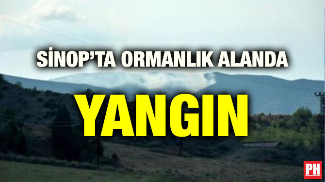 SİNOP’TA ORMANLIK ALANDA YANGIN