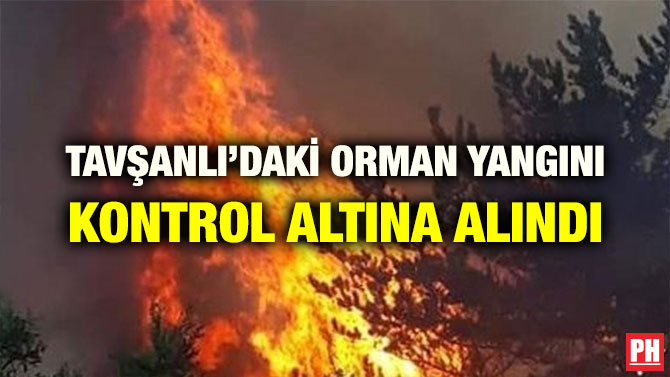 TAVŞANLI’DAKİ ORMAN YANGINI KONTROL ALTINA ALINDI