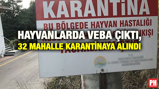 HAYVANLARDA VEBA ÇIKTI, 32 MAHALLE KARANTİNAYA ALINDI