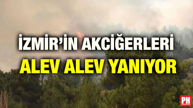 İZMİR’İN AKCİĞERLERİ  ALEV ALEV YANIYOR