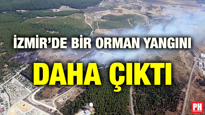 İZMİR’DE BİR ORMAN YANGINI DAHA ÇIKTI