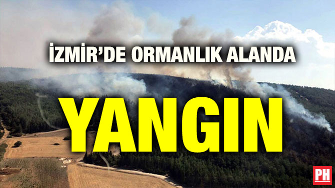 İZMİR’DE ORMANLIK ALANDA YANGIN
