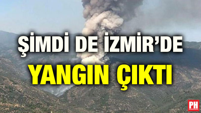 ŞİMDİ DE İZMİR’DE YANGIN ÇIKTI