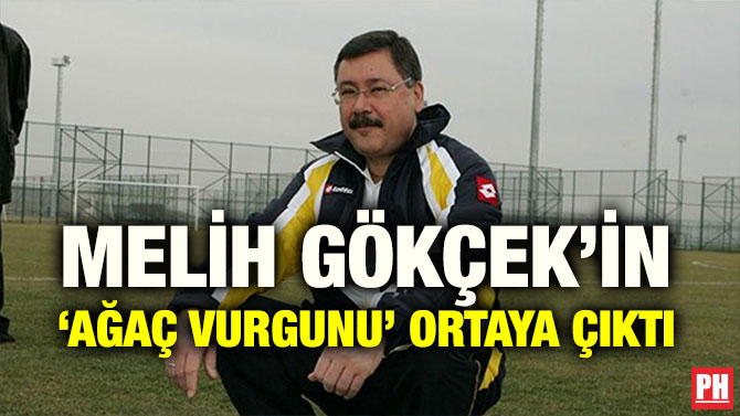 MELİH GÖKÇEK’İN ‘AĞAÇ VURGUNU’ ORTAYA ÇIKTI