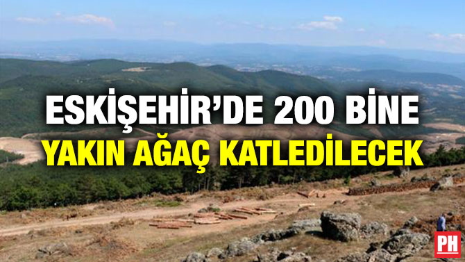 ESKİŞEHİR’DE YÜZ BİNLERCE AĞAÇ KATLEDİLECEK