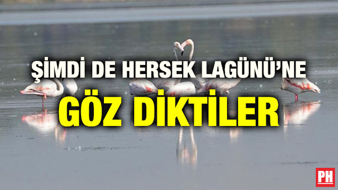 ŞİMDİ DE HERSEK LAGÜNÜ’NE GÖZ DİKTİLER