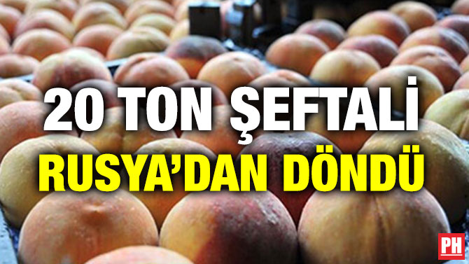 20 TON ŞEFTALİ RUSYA’DAN DÖNDÜ