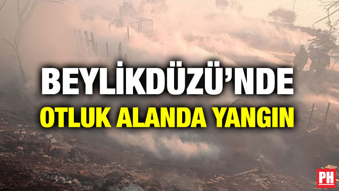 BEYLİKDÜZÜ’NDE OTLUK ALANDA YANGIN
