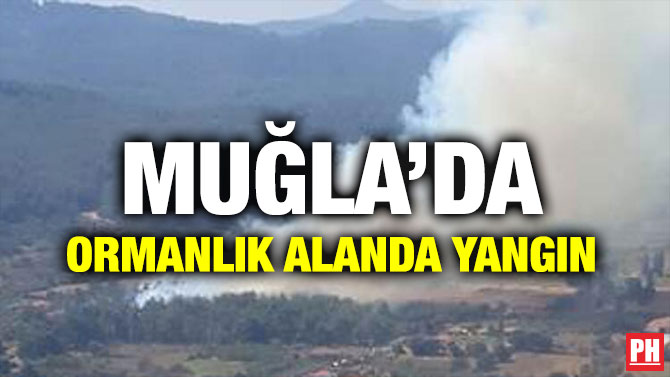 MUĞLA’DA ORMANLIK ALANDA YANGIN