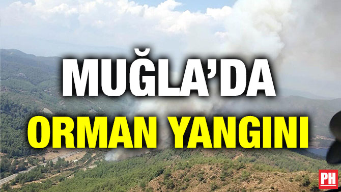 MUĞLA’DA ORMAN YANGINI