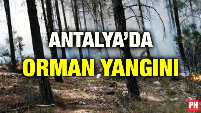 ANTALYA’DA ORMAN YANGINI