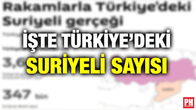 İŞTE TÜRKİYE’DEKİ SURİYELİ SAYISI