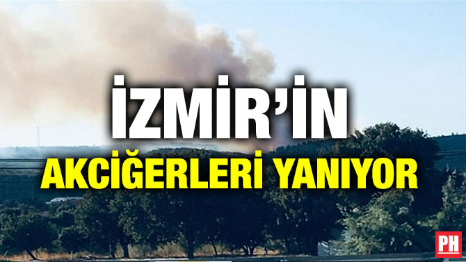 İZMİR’İN AKCİĞERLERİ YANIYOR