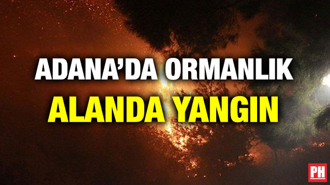 ADANA’DA ORMANLIK ALANDA YANGIN