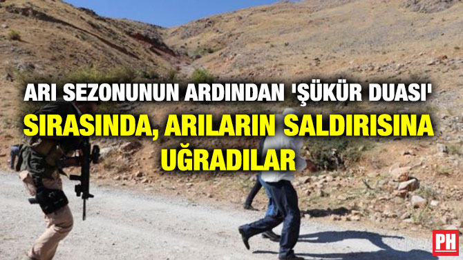 ARI SEZONUNUN ARDINDAN ‘ŞÜKÜR DUASI’ SIRASINDA, ARILARIN SALDIRISINA UĞRADILAR
