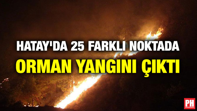 HATAY’DA 25 FARKLI NOKTADA ORMAN YANGINI ÇIKTI