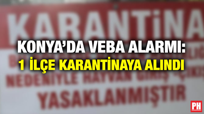 KONYA’DA VEBA ALARMI: 1 İLÇE KARANTİNAYA ALINDI