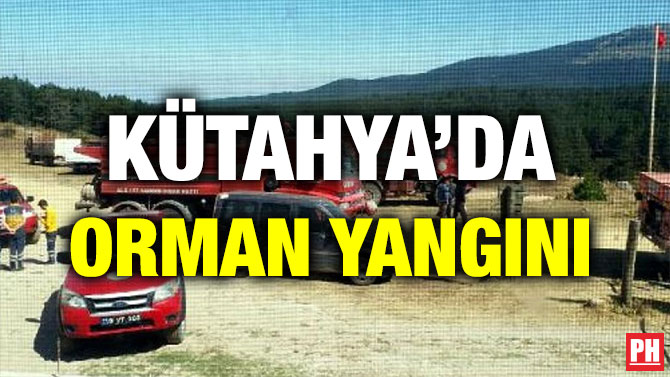KÜTAHYA’DA ORMAN YANGINI