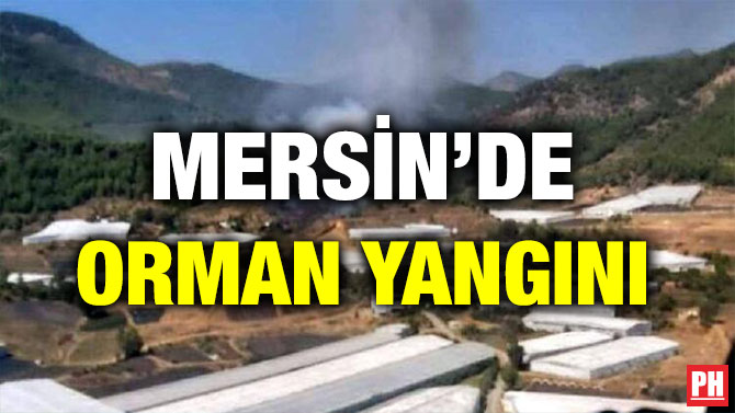 MERSİN’DE ORMAN YANGINI