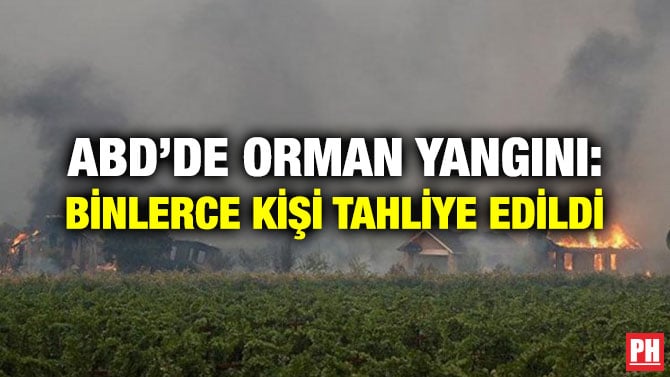 ABD’DE ORMAN YANGINI: BİNLERCE KİŞİ TAHLİYE EDİLDİ