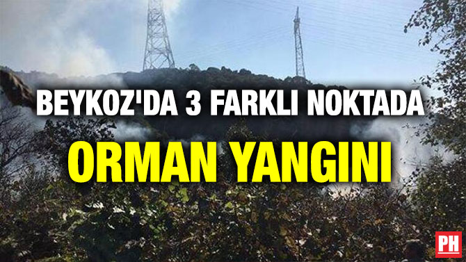 BEYKOZ’DA 3 FARKLI NOKTADA ORMAN YANGINI