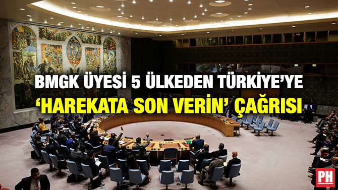 BMGK ÜYESİ 5 ÜLKEDEN TÜRKİYE’YE ‘HAREKATA SON VERİN’ ÇAĞRISI