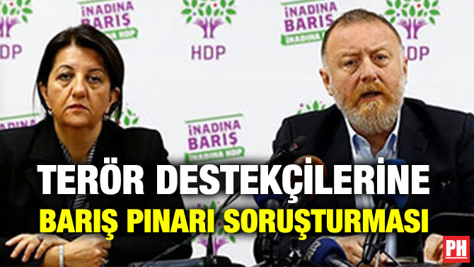 TERÖR DESTEKÇİLERİNE BARIŞ PINARI SORUŞTURMASI