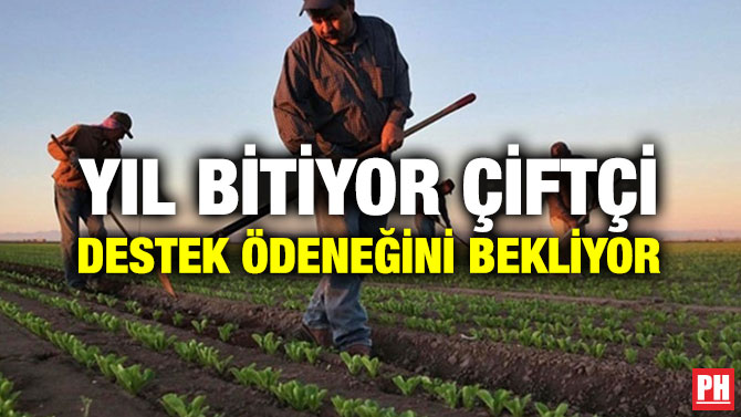 YIL BİTİYOR ÇİFTÇİ DESTEK ÖDENEĞİNİ BEKLİYOR