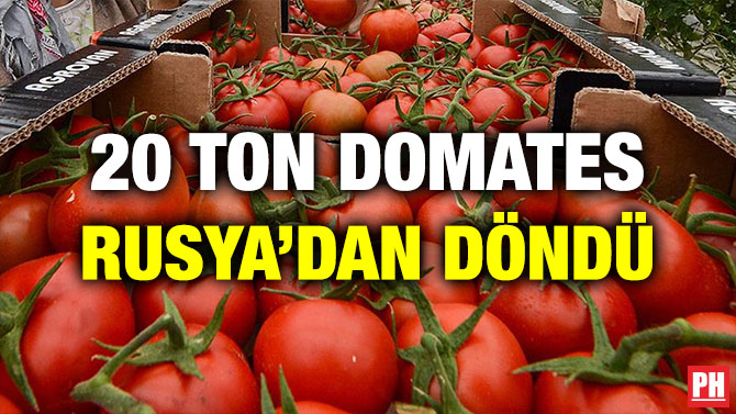 20 TON DOMATES RUSYA’DAN DÖNDÜ