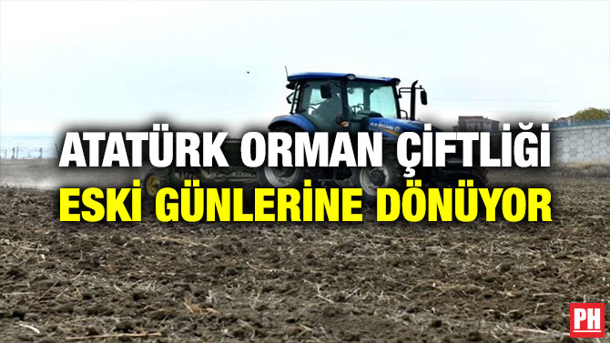 ATATÜRK ORMAN ÇİFTLİĞİ ESKİ GÜNLERİNE DÖNÜYOR