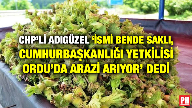 CHP’Lİ ADIGÜZEL ‘İSMİ BENDE SAKLI, CUMHURBAŞKANLIĞI YETKİLİSİ ORDU’DA ARAZİ ARIYOR’ DEDİ
