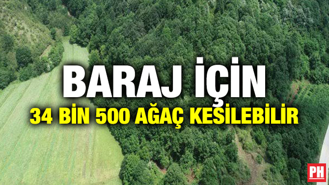 BARAJ İÇİN 34 BİN 500 AĞAÇ KESİLEBİLİR