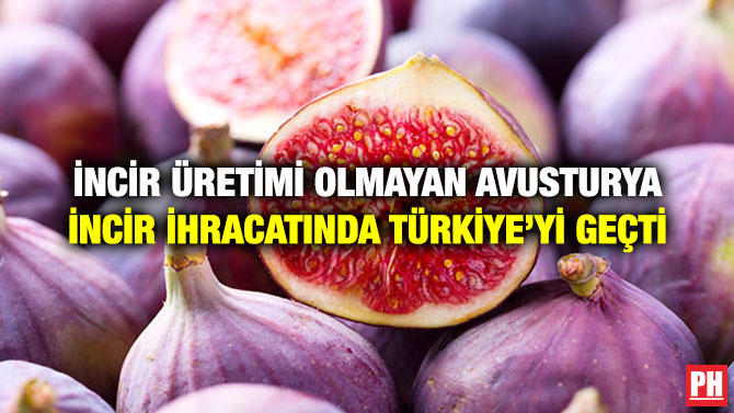 İNCİR ÜRETİMİ OLMAYAN AVUSTURYA İNCİR İHRACATINDA TÜRKİYE’Yİ GEÇTİ