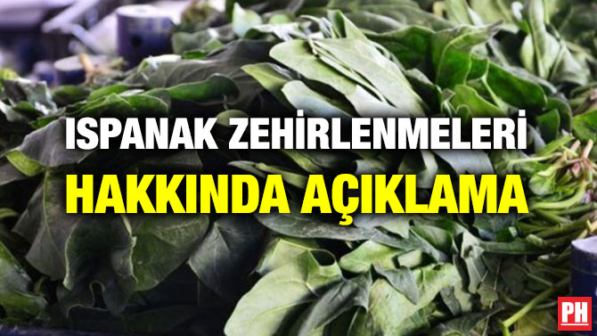ISPANAK ZEHİRLENMELERİ HAKKINDA AÇIKLAMA