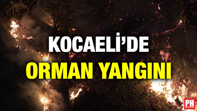 KOCAELİ’DE ORMAN YANGINI