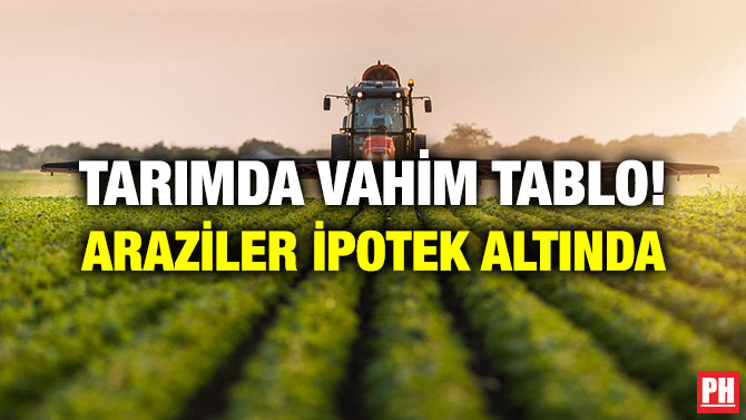 TARIMDA VAHİM TABLO! ARAZİLER İPOTEK ALTINDA
